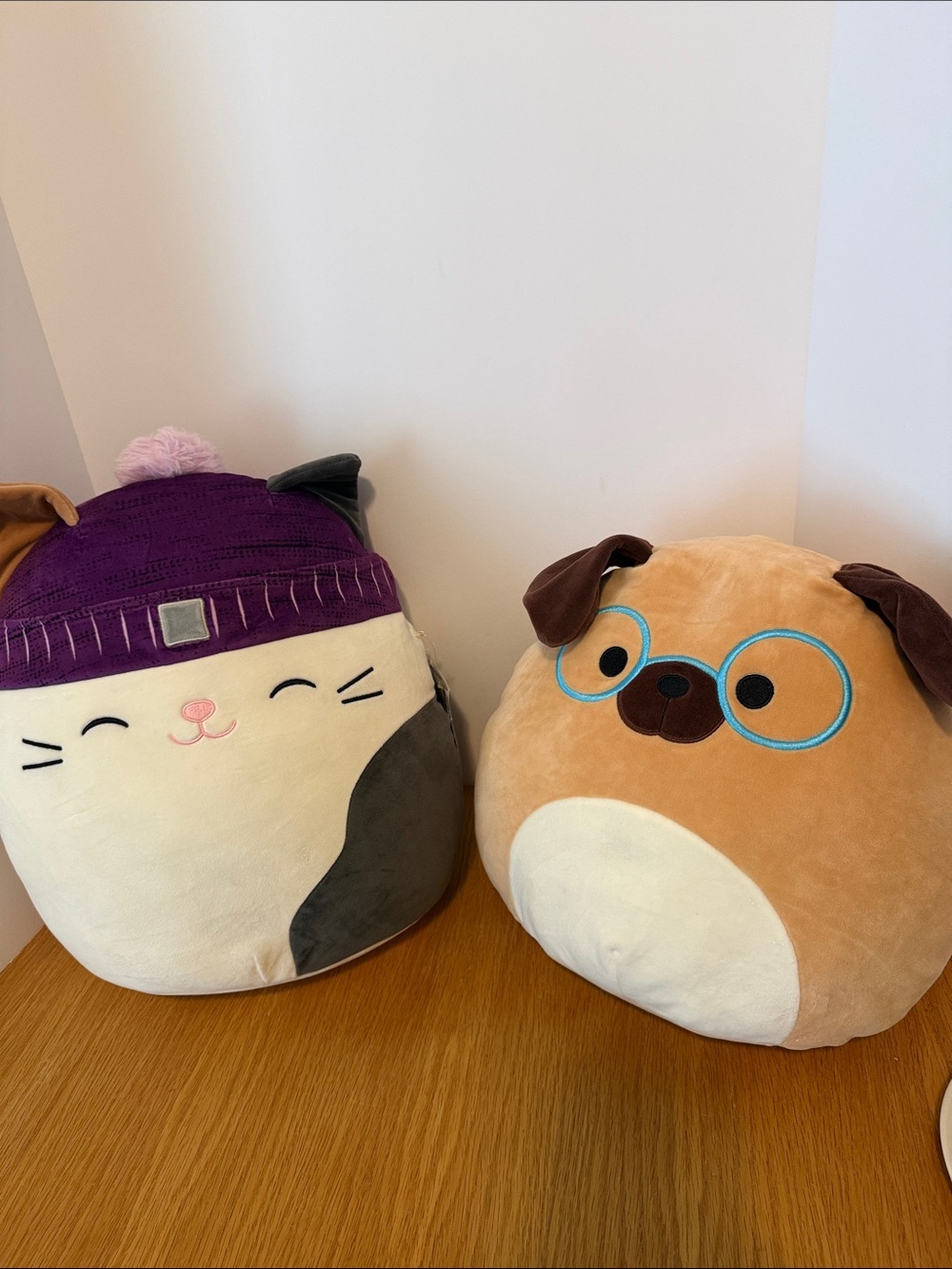 Squishmallow Cam and Daryl the Dog